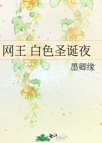 網王 白色聖誕夜