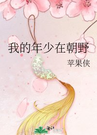 我的年少在朝野